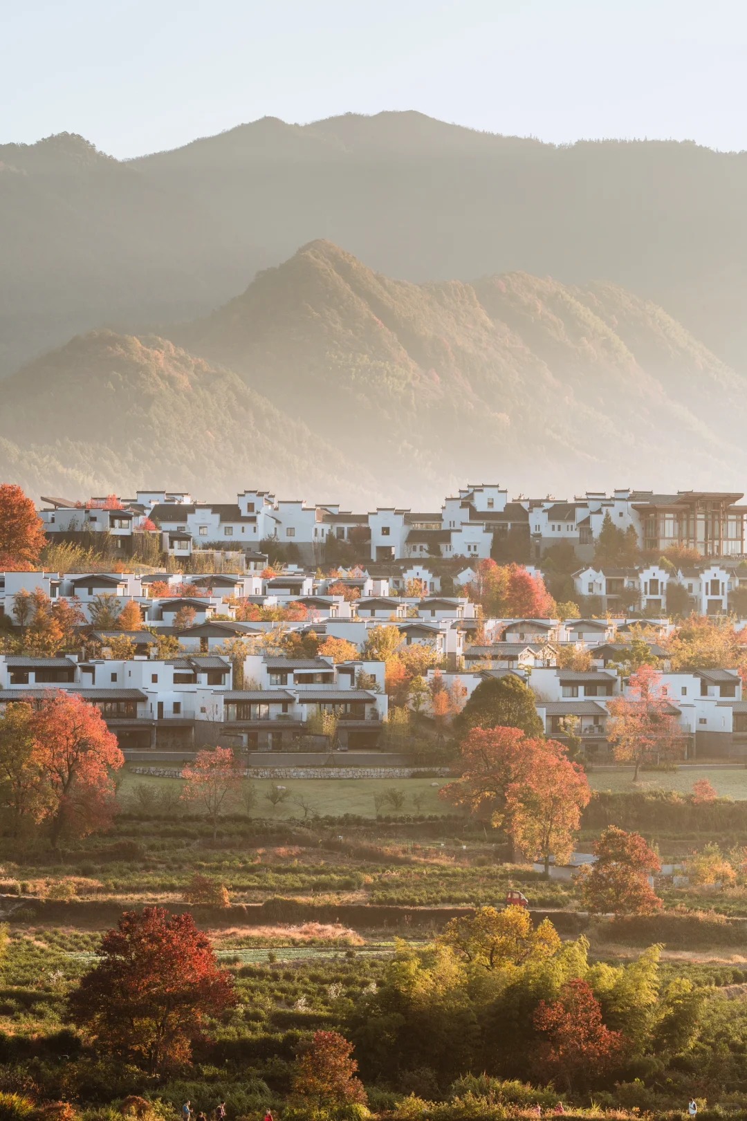 11.12日-卢村晨雾实况_2_葉_安徽徽州-来自52tours 我爱旅游网